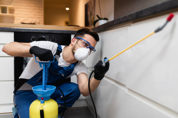  Machias, WA Pest Control Pros