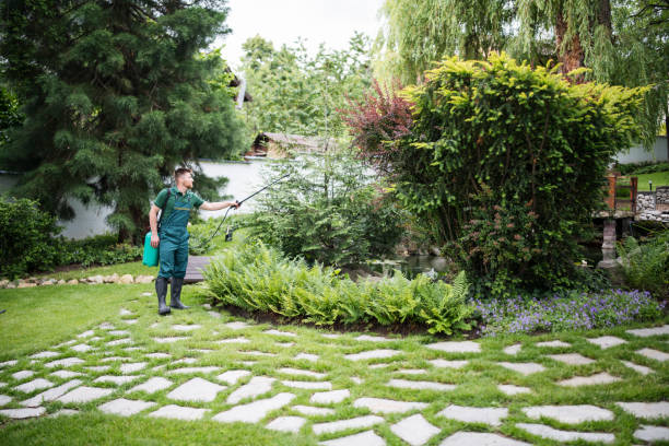 Pest Prevention Services in Machias, WA