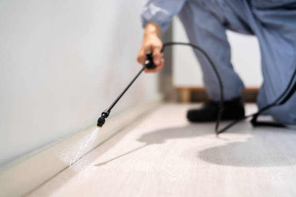 Pest Control Cost in Machias, WA